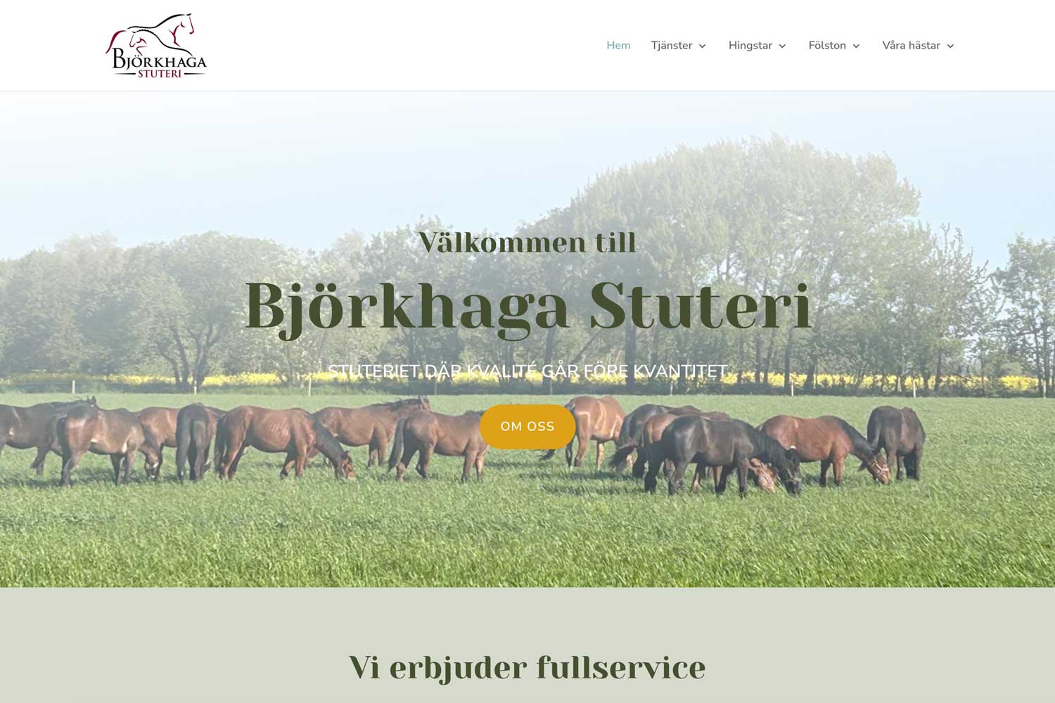 2024-ny-front-BjorkhagaStuteri-1500x1000 Björkhaga stuteri